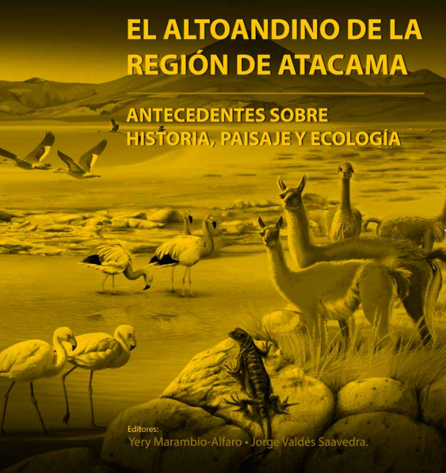 El Altoandino De la Región de Atacama